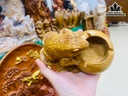 Gạt Tàn Thuốc Gỗ Bách Xanh Cao 8 Ngang 15 Sâu 10 (cm)