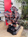 Tượng Cá Xiêm Gỗ Lũa Bách Xanh Cao 80 Ngang 52 Sâu 28 (cm)