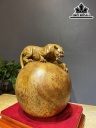 Tượng Báo Săn Mồi Gỗ Nu Ngọc Am Cao 30 Ngang 30 Sâu 26 Kỷ Cao 39 (cm)