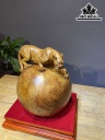 Tượng Báo Săn Mồi Gỗ Nu Ngọc Am Cao 30 Ngang 30 Sâu 26 Kỷ Cao 39 (cm)
