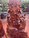 Lục Bình Chim Hoa Gỗ Hương Cao 70 Ngang 39 Sâu 28 (cm)