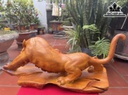 Tượng Hổ Phong Thủy Gỗ Hương Cao 24 Ngang 63 Sâu 25 (cm)