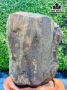 Tác Phẩm Gỗ Hóa Thạch 2,6kg