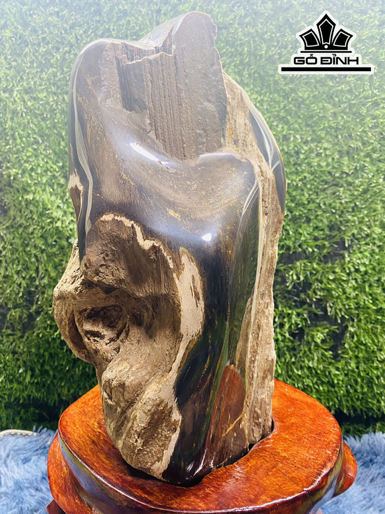 Tác Phẩm Gỗ Hóa Thạch 9kg