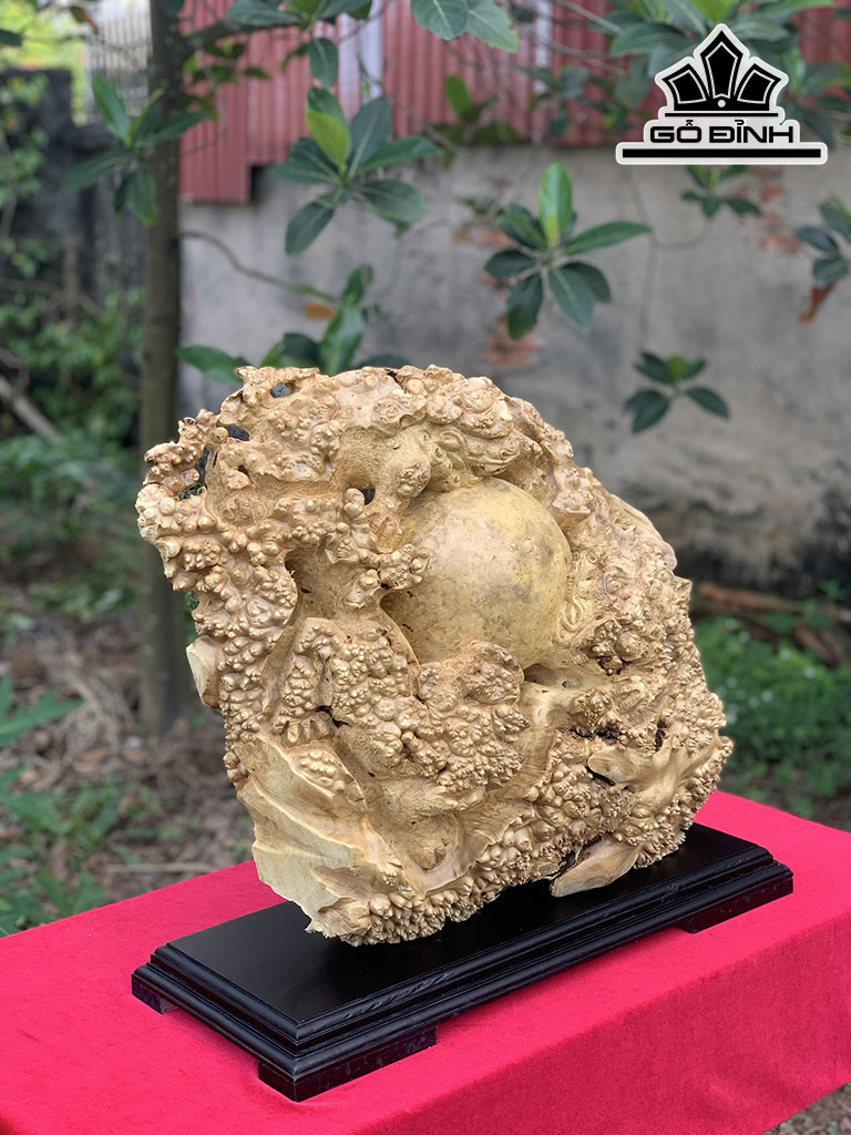Tượng Nghê Gỗ Nu Kháo Cao 49 Ngang 56 Sâu 16 (cm)
