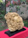 Tượng Nghê Gỗ Nu Kháo Cao 49 Ngang 56 Sâu 16 (cm)