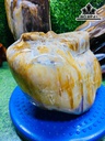Tác Phẩm Gỗ Hóa Thạch 5,5kg