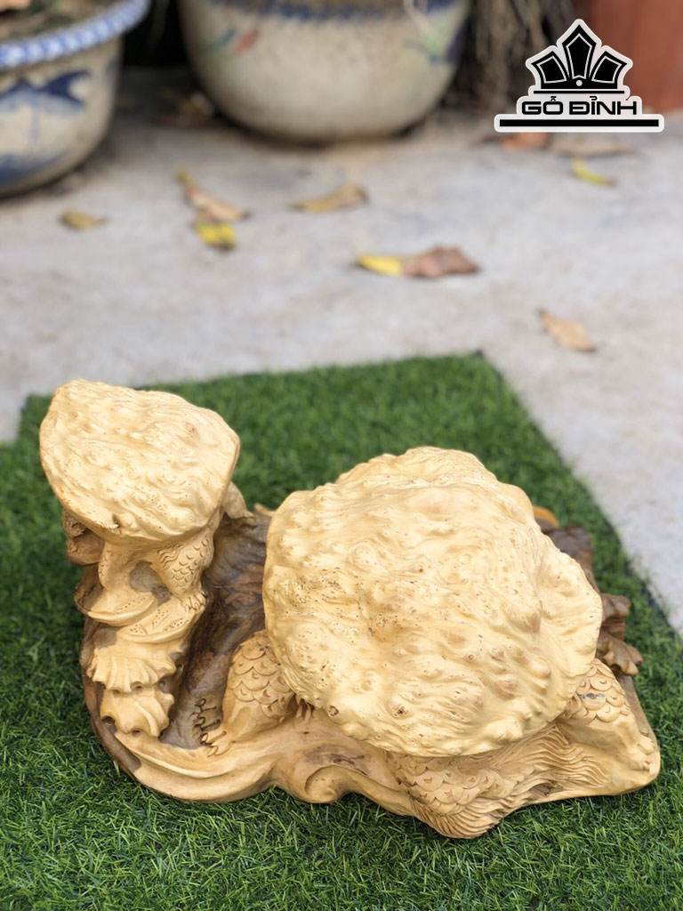 Tượng Long Quy Gỗ Nu Giáng Hương Cao 18 Ngang 36 Sâu 33 (cm)