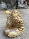 Tượng Thiềm Thừ Gỗ Hương Ôm Đá Cao 16 Ngang 19 Sâu 15 (cm)