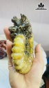Tác Phẩm Ốc Anh Vũ Hóa Ngọc Cao 17 Ngang 11 (cm) 1,1kg