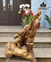 Tượng Báo Săn Mồi Gỗ Nu Kháo Cao 57 Ngang 42 Sâu 22 (cm)