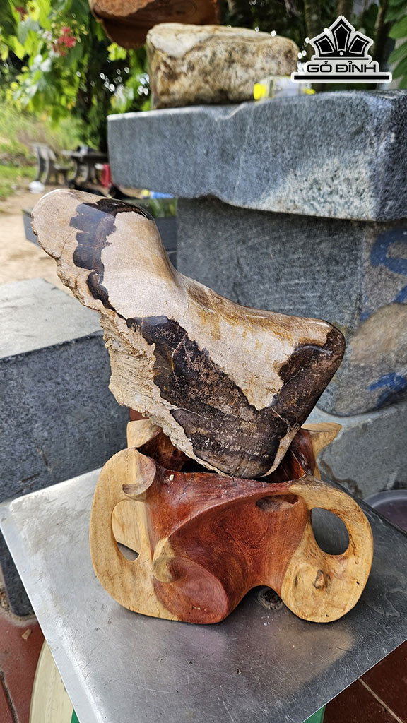 Tác Phẩm Gỗ Hóa Thạch Cao 38  Ngang 19 (cm) 5kg