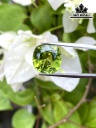 Viên Đá Tourmaline 9.25cts