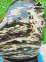 Tác Phẩm Gỗ Hóa Thạch Cao 29 Ngang 18 (cm) 5,8kg