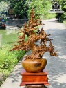 Bình Mai Tài Lộc Gỗ Hương Cao 106 Ngang 68 Sâu 48 (cm)