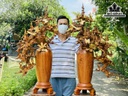 Cặp Bình Mai Gỗ Hương Cao 115-114 Ngang 70-66 Sâu 46-48 (cm)