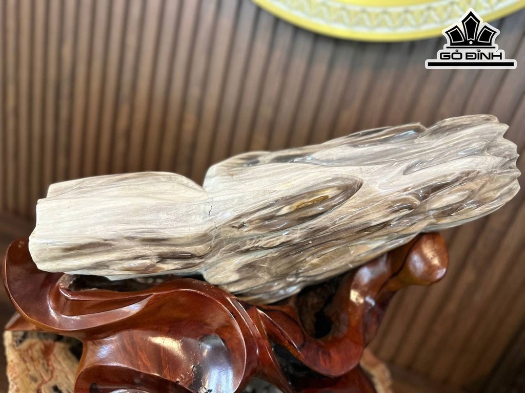 Tác Phẩm Gỗ Hóa Thạch Cao 19 Ngang 47 (cm) 9,2kg