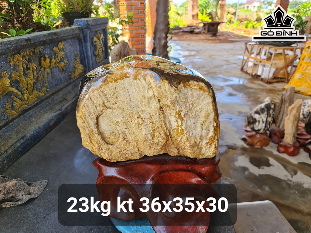 Tác Phẩm Gỗ Hóa Thạch Cao 36 Ngang 35 Sâu 30 (cm) 23kg