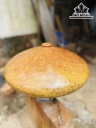 Chum Phú Quý Gỗ Nu Kháo Cao 18 Đường Kính 40 (cm)