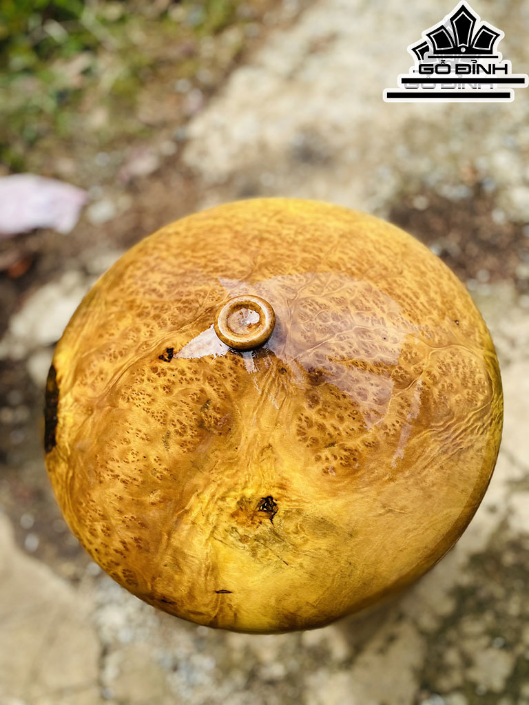 Chum Phú Quý Gỗ Nu Kháo Cao 18 Đường Kính 40 (cm)