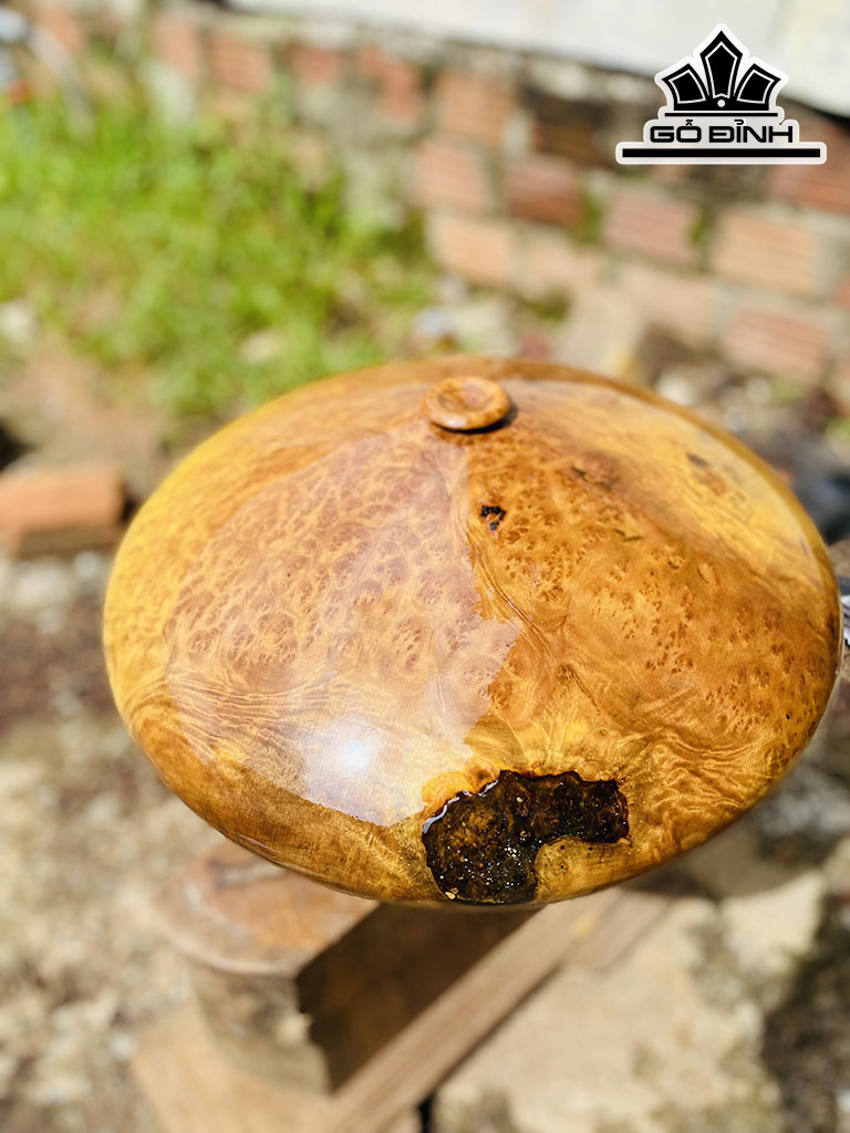 Chum Phú Quý Gỗ Nu Kháo Cao 18 Đường Kính 40 (cm)