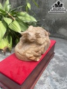 Tượng Trâu Gỗ Ngọc Am Cao 21 Ngang 36 Sâu 22 (cm)