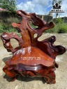 Bộ Gốc 6 Đôn Gỗ Hương