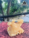 Long Quy Đá Ngọc Hoàng Long Cao 15 (cm)