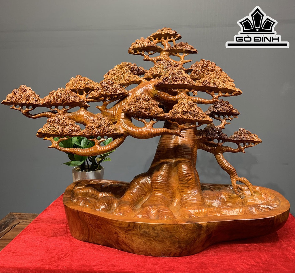 Cây Tùng Bonsai Gỗ Hương Cao 58 Ngang 73 Sâu 38 (cm)