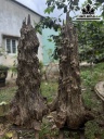Cặp Núi Gỗ Trầm Hương Cao 110 Ngang 50 (cm)