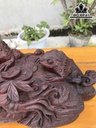 tuong-tam-coc-go-trac-cao-14-ngang-48-sau-20-cm-422992