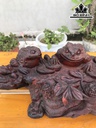 tuong-tam-coc-go-trac-cao-14-ngang-48-sau-20-cm-422993