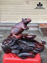 tuong-chuot-phong-thuy-go-trac-cao-24-ngang-31-sau-15-cm-423690
