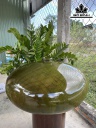 chum-phu-quy-go-doi-xanh-duong-kinh-60-cao-32-cm-424467