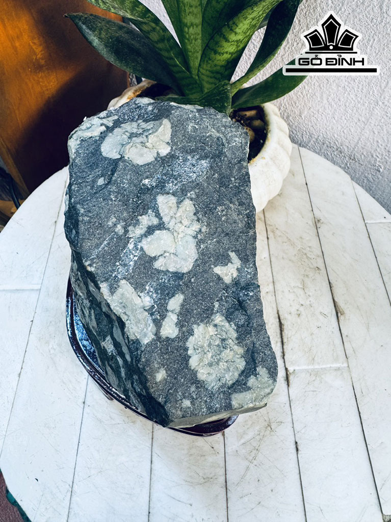 Tác Phẩm Hoa Cúc Hóa Thạch Cao 18 Ngang 17 (cm) 3,8kg
