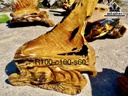 bo-goc-doi-7-mon-nguyen-khoi-425559