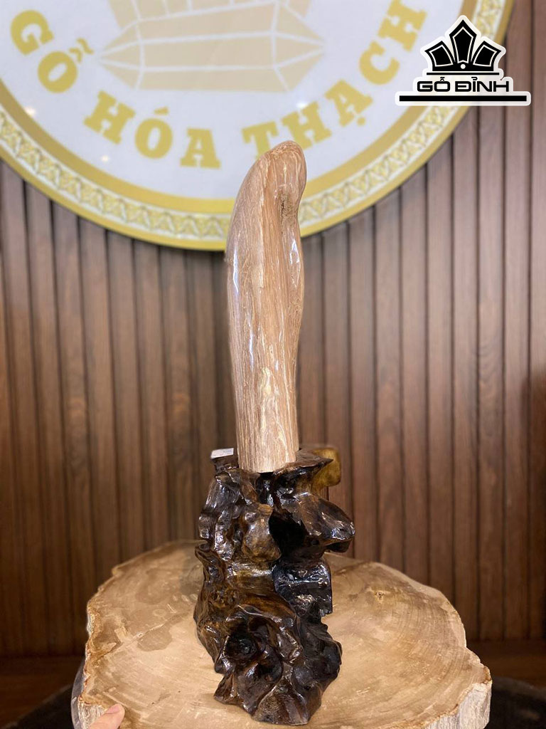 Tác Phẩm Gỗ Hóa Thạch Cao 48 Ngang 32 (cm) 4,7kg