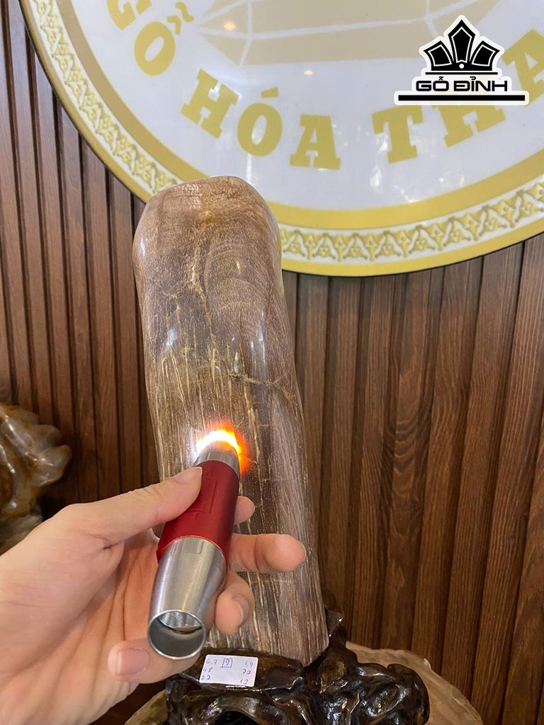 Tác Phẩm Gỗ Hóa Thạch Cao 48 Ngang 32 (cm) 4,7kg
