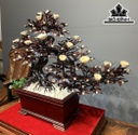 chau-hoa-phu-dung-bonsai-thac-do-go-trac-cao-83-ngang-100-sau-43-cm-427567