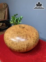chum-phu-quy-go-nu-ngoc-am-cao-22-duong-kinh-36-cm-427574