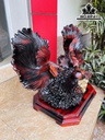 tuong-ca-xiem-doi-go-trac-cao-52-ngang-72-sau-36-cm-428255