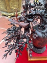 binh-mai-go-trac-cao-ca-ky-55-ngang-46-sau-38-cm-432178