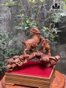 tuong-tam-duong-khai-thai-go-sua-cao-34-ngang-50-sau-24-cm-432445