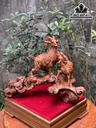 tuong-tam-duong-khai-thai-go-sua-cao-34-ngang-50-sau-24-cm-432447
