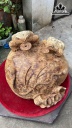 doi-thiem-thu-go-nu-ngoc-am-cao-29-ngang-39-sau-45-cm-435150