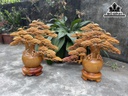 cap-binh-tung-go-huong-cao-54-ngang-54-52-sau-20-cm-435936