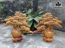 cap-binh-tung-go-huong-cao-54-ngang-54-52-sau-20-cm-435937