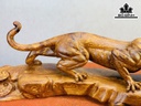 tuong-quan-tu-bao-bien-go-cam-cao-235-ngang-66-sau-165-cm-436729