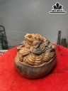 tuong-coc-xong-tram-go-trac-cao-14-ngang-19-sau-16-cm-437887
