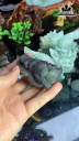 Tác Phẩm Thiềm Thừ Đá Ngọc Bích Hòa Điều (Nephrite Jade) Cao 69,6 Ngang 33 Sâu 33,9 (mm) 98,8g